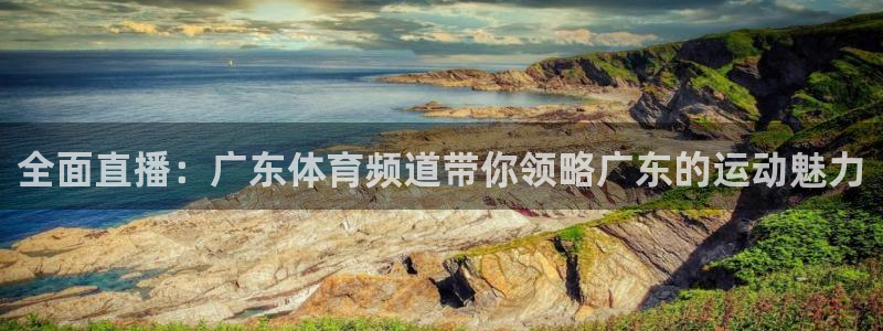 全面直播：广东体育频道带你领略广东的运动魅力