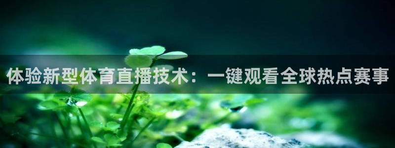 体验新型体育直播技术：一键观看全球热点赛事